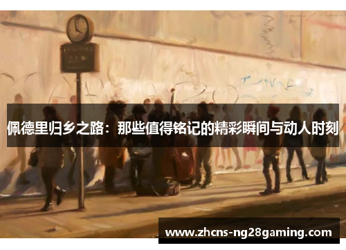 佩德里归乡之路：那些值得铭记的精彩瞬间与动人时刻