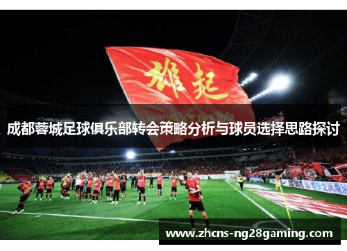 成都蓉城足球俱乐部转会策略分析与球员选择思路探讨
