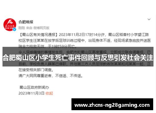 合肥蜀山区小学生死亡事件回顾与反思引发社会关注