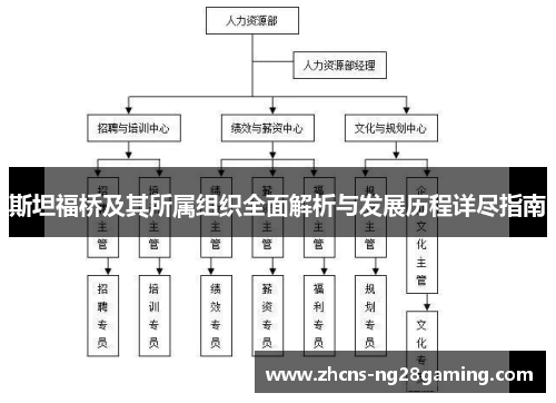 斯坦福桥及其所属组织全面解析与发展历程详尽指南