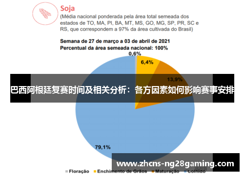巴西阿根廷复赛时间及相关分析：各方因素如何影响赛事安排