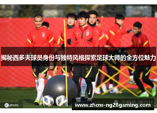 揭秘西多夫球员身份与独特风格探索足球大师的全方位魅力