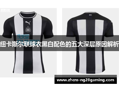 纽卡斯尔联球衣黑白配色的五大深层原因解析
