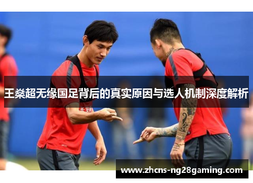 王燊超无缘国足背后的真实原因与选人机制深度解析