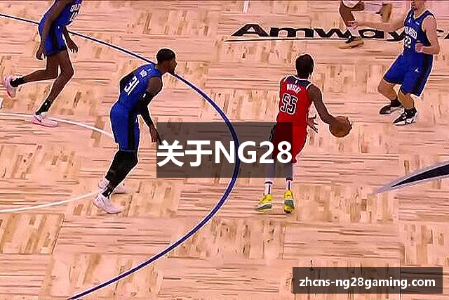 关于NG28